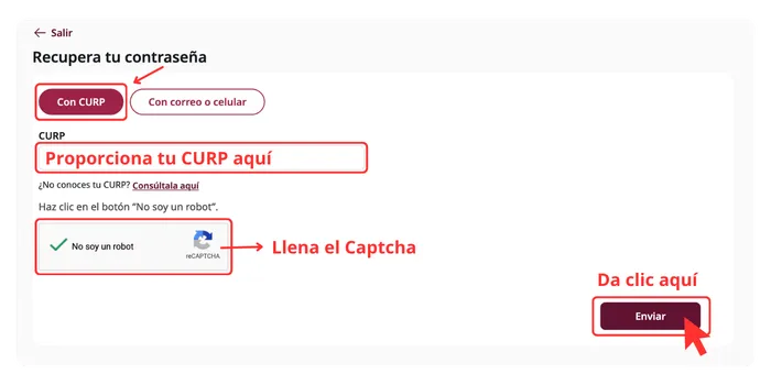 Pantalla para recuperar la contraseña mediante la CURP