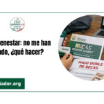 Beca Bienestar: no me han pagado, ¿qué hacer?