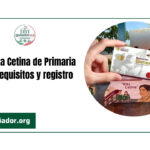 Beca Rita Cetina de Primaria 2026: requisitos y registro