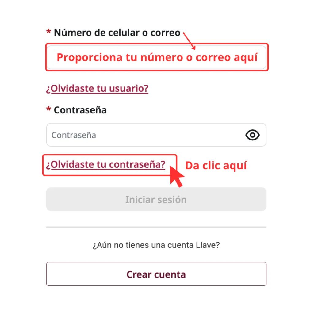 paso 2 datos de contacto