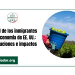 El papel de los inmigrantes en la economía de EE. UU.: contribuciones e impactos
